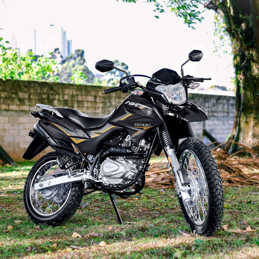 Imagem do modelo DESCUBRA OUTROS CAMINHOS.